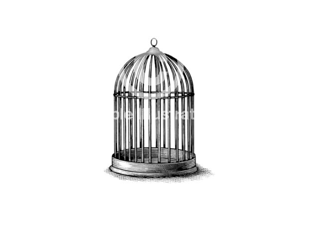 Rev Bird Cage art